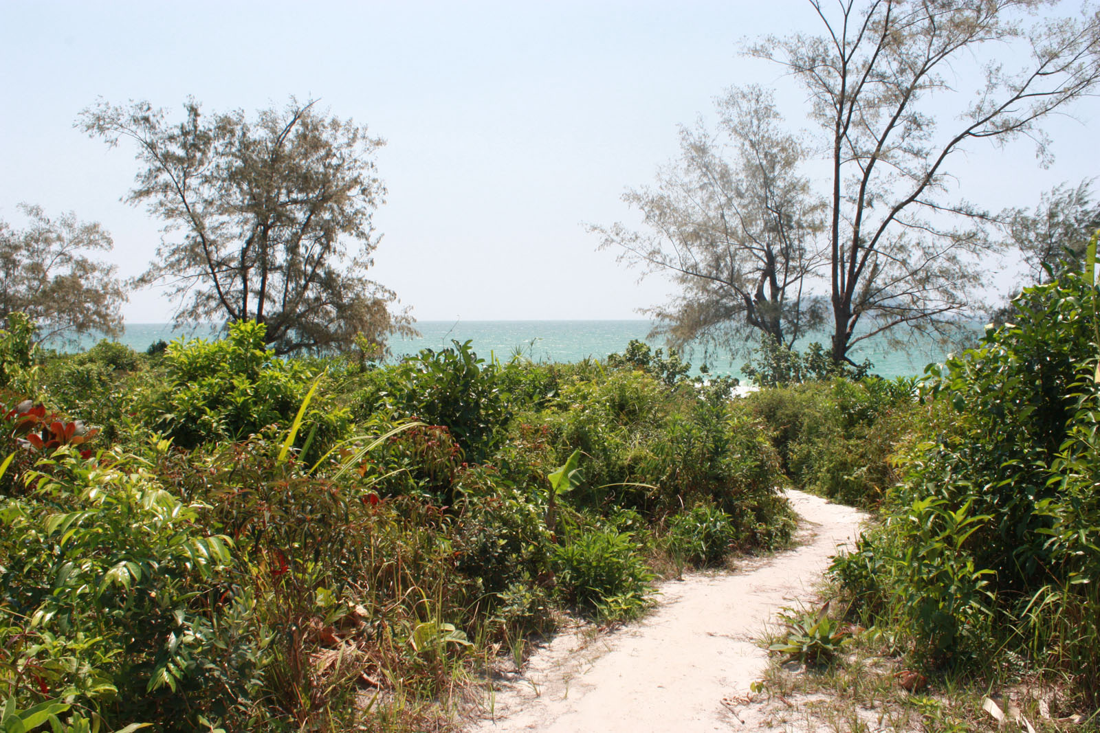 Impressions of Koh Rong in 2010