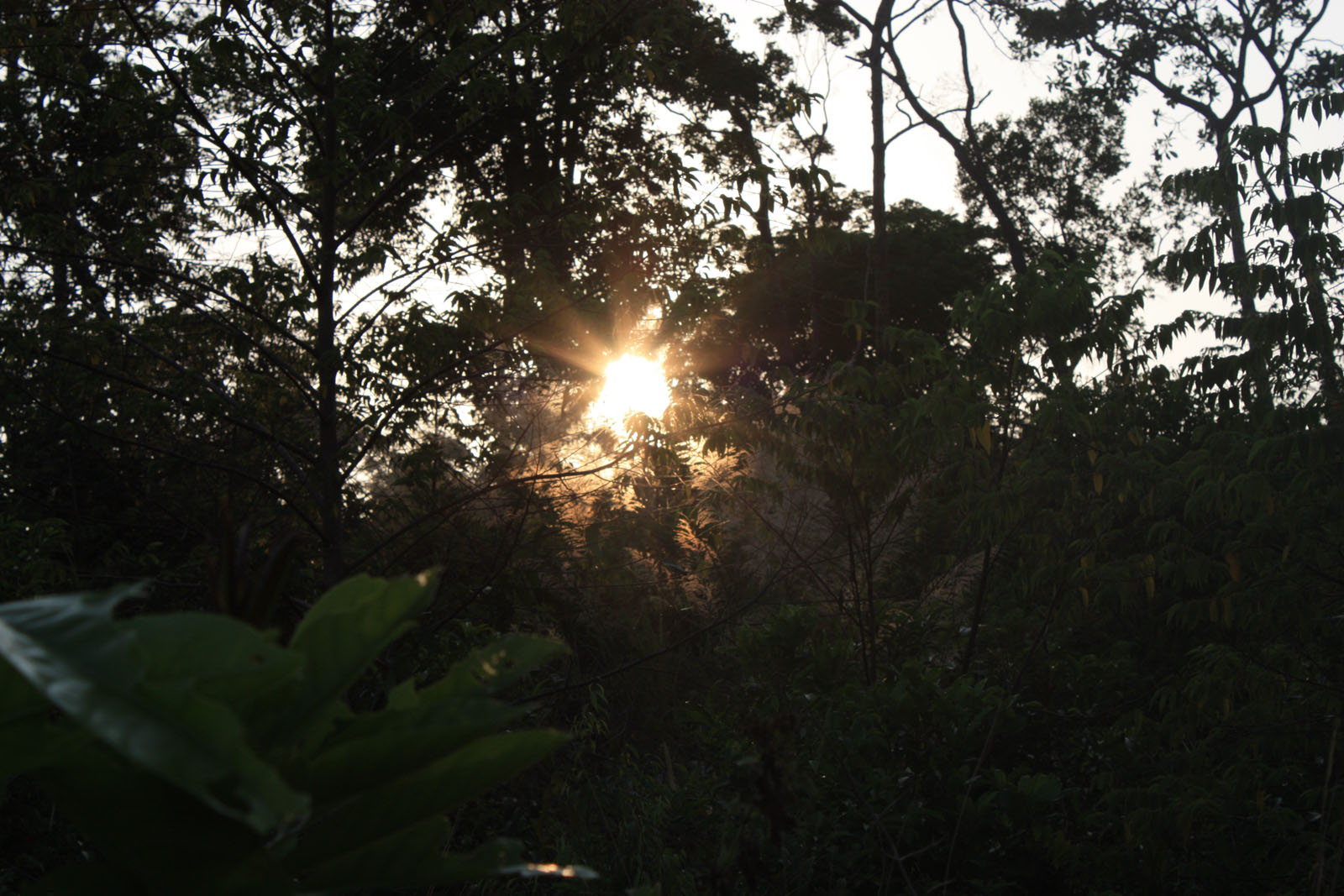 Impressions of Koh Rong in 2010