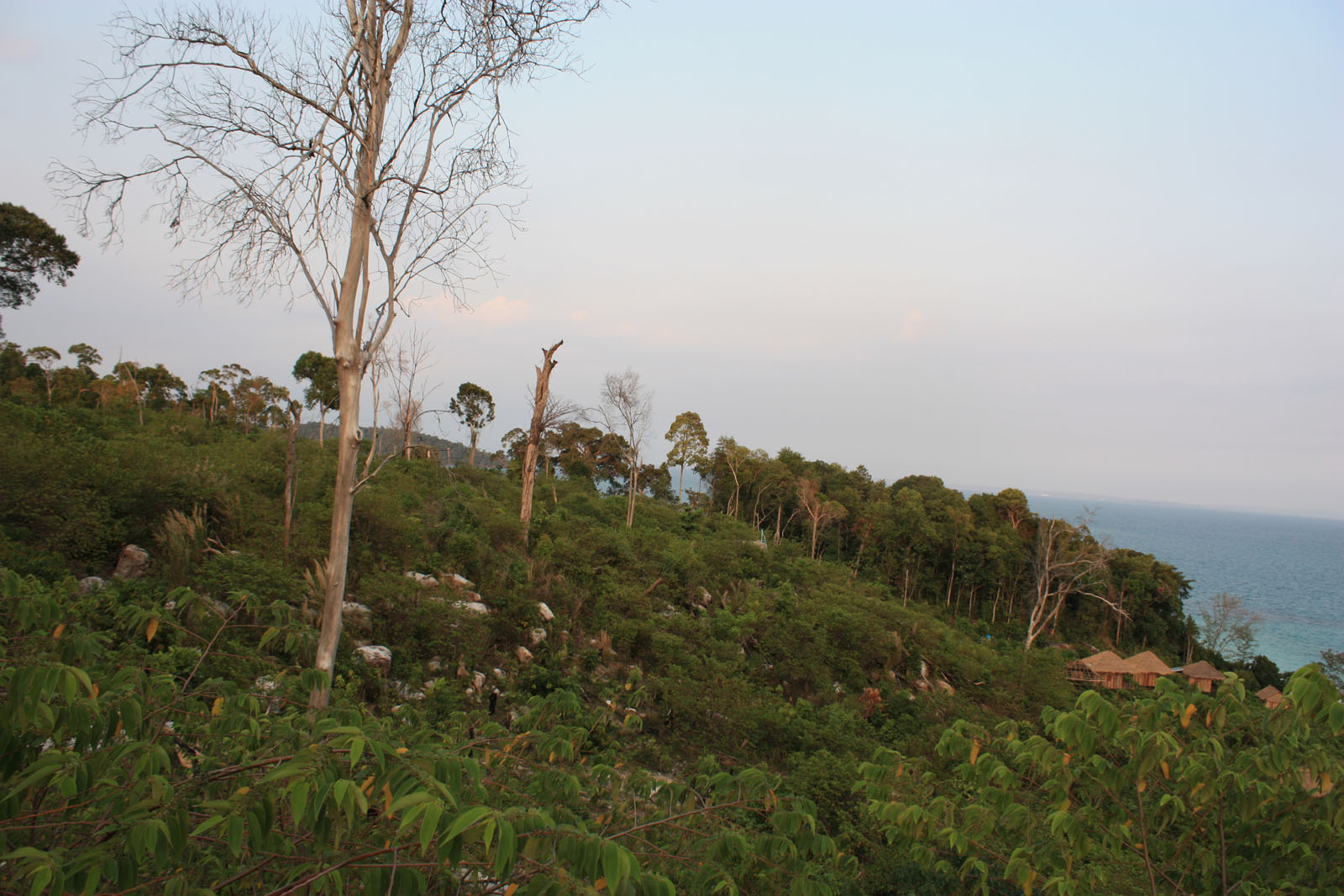 Impressions of Koh Rong in 2010