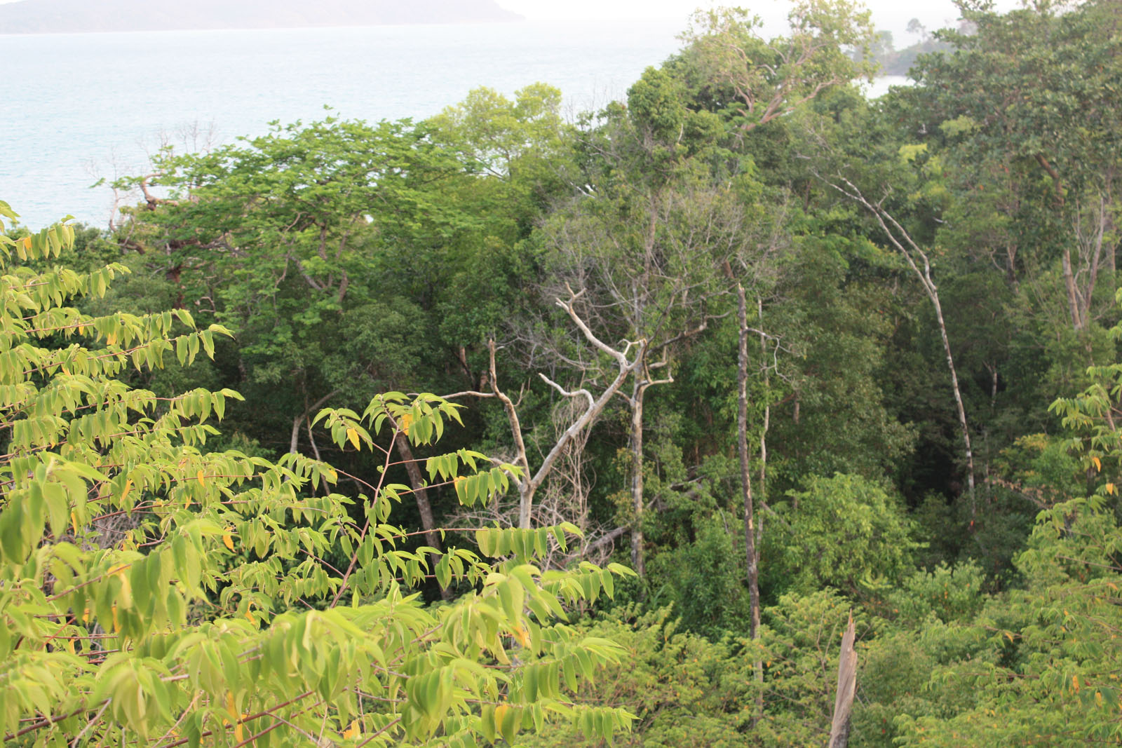 Impressions of Koh Rong in 2010