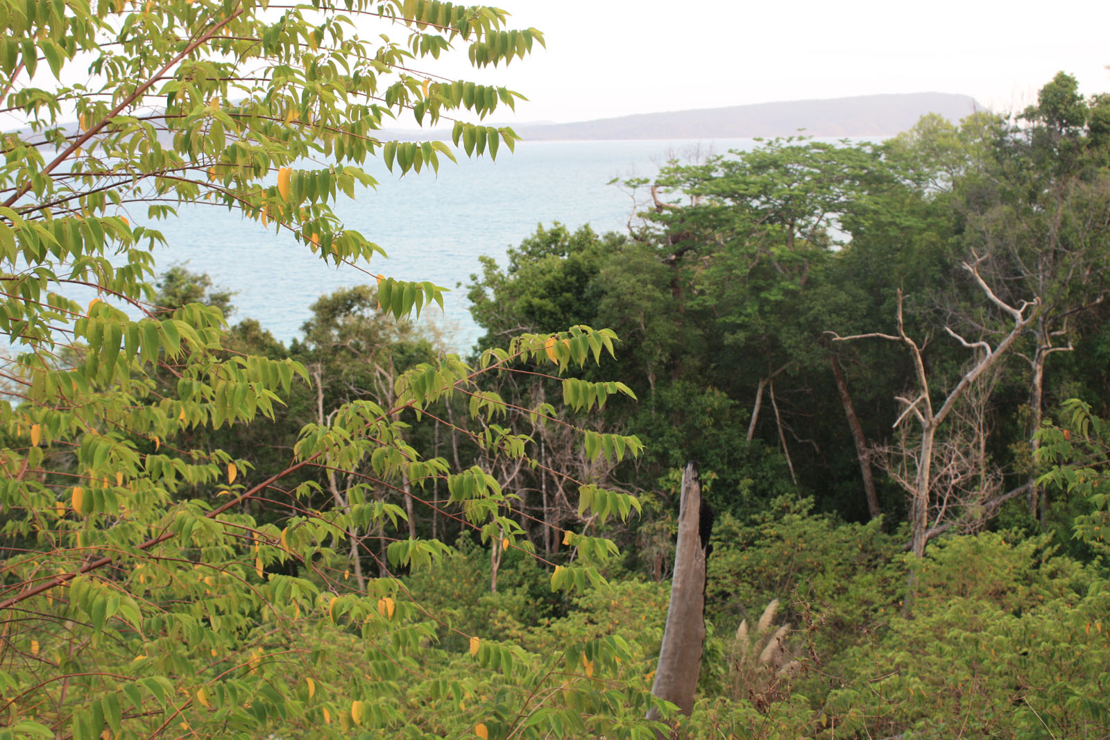 Impressions of Koh Rong in 2010