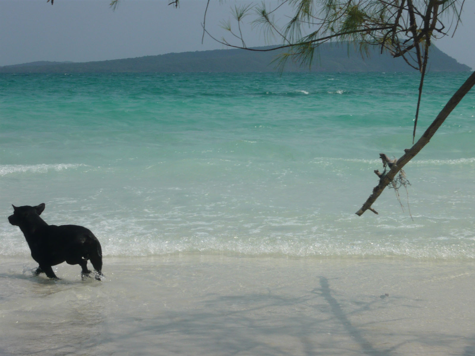 Impressions of Koh Rong in 2010