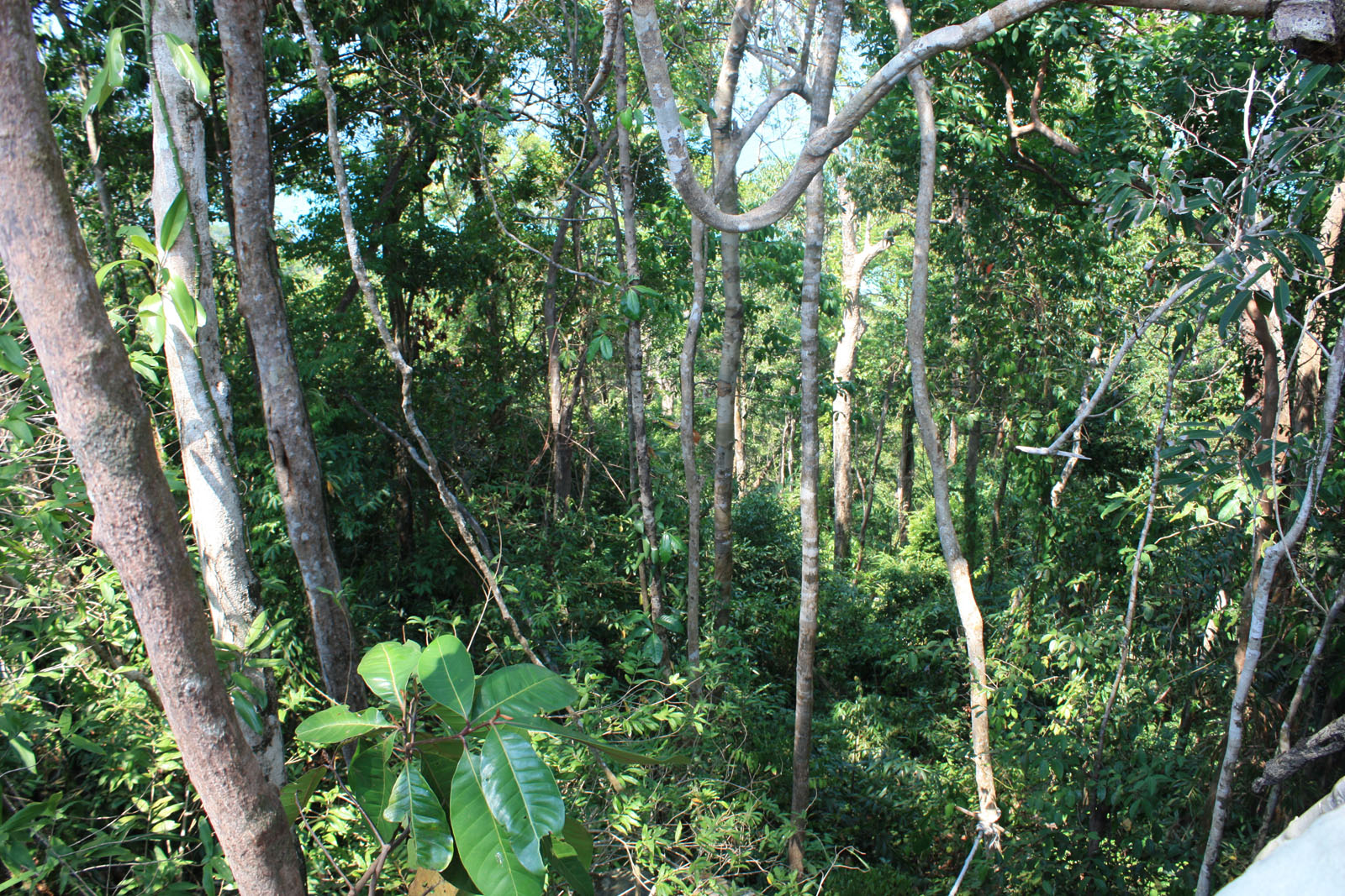 Impressions of Koh Rong in 2010