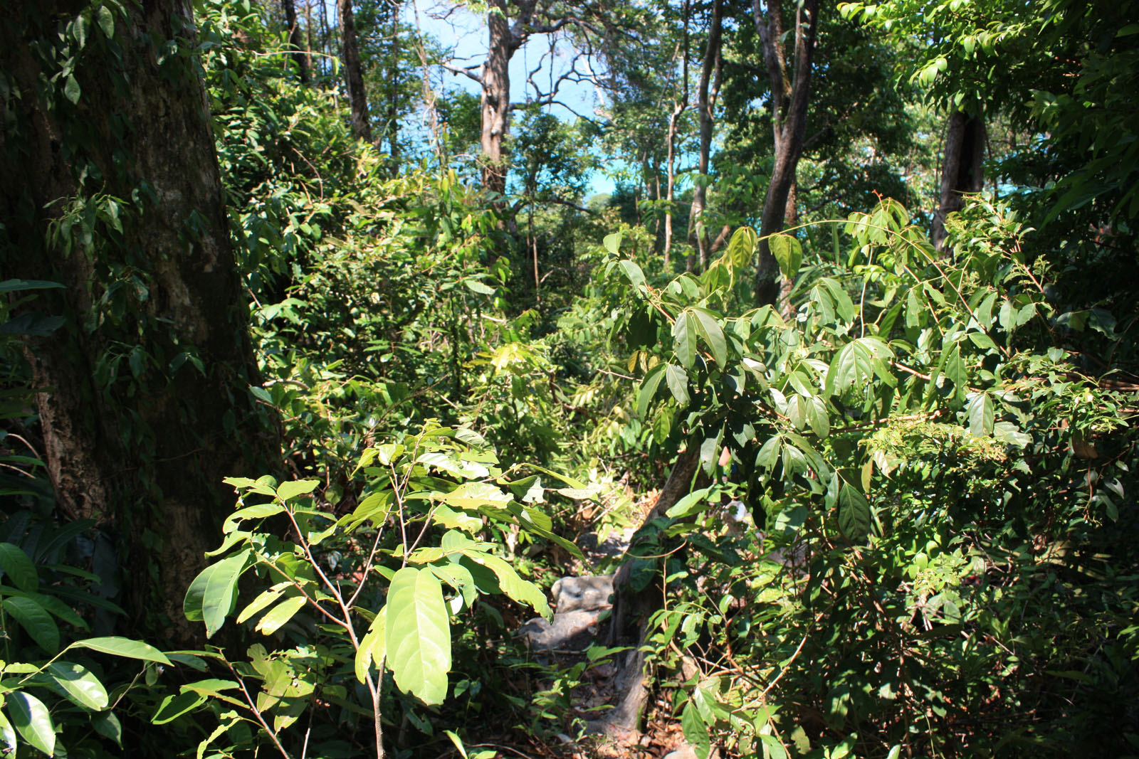 Impressions of Koh Rong in 2010