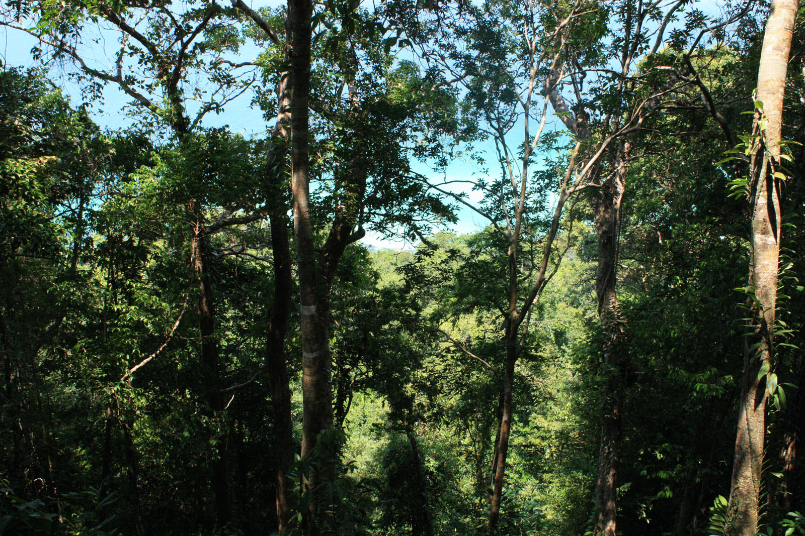 Impressions of Koh Rong in 2010