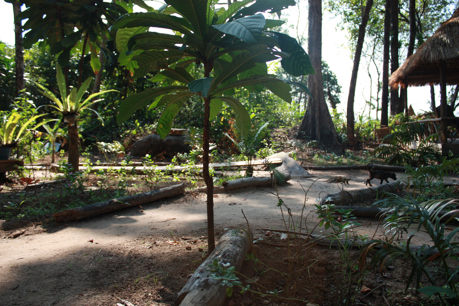 Impressions of Koh Rong in 2010