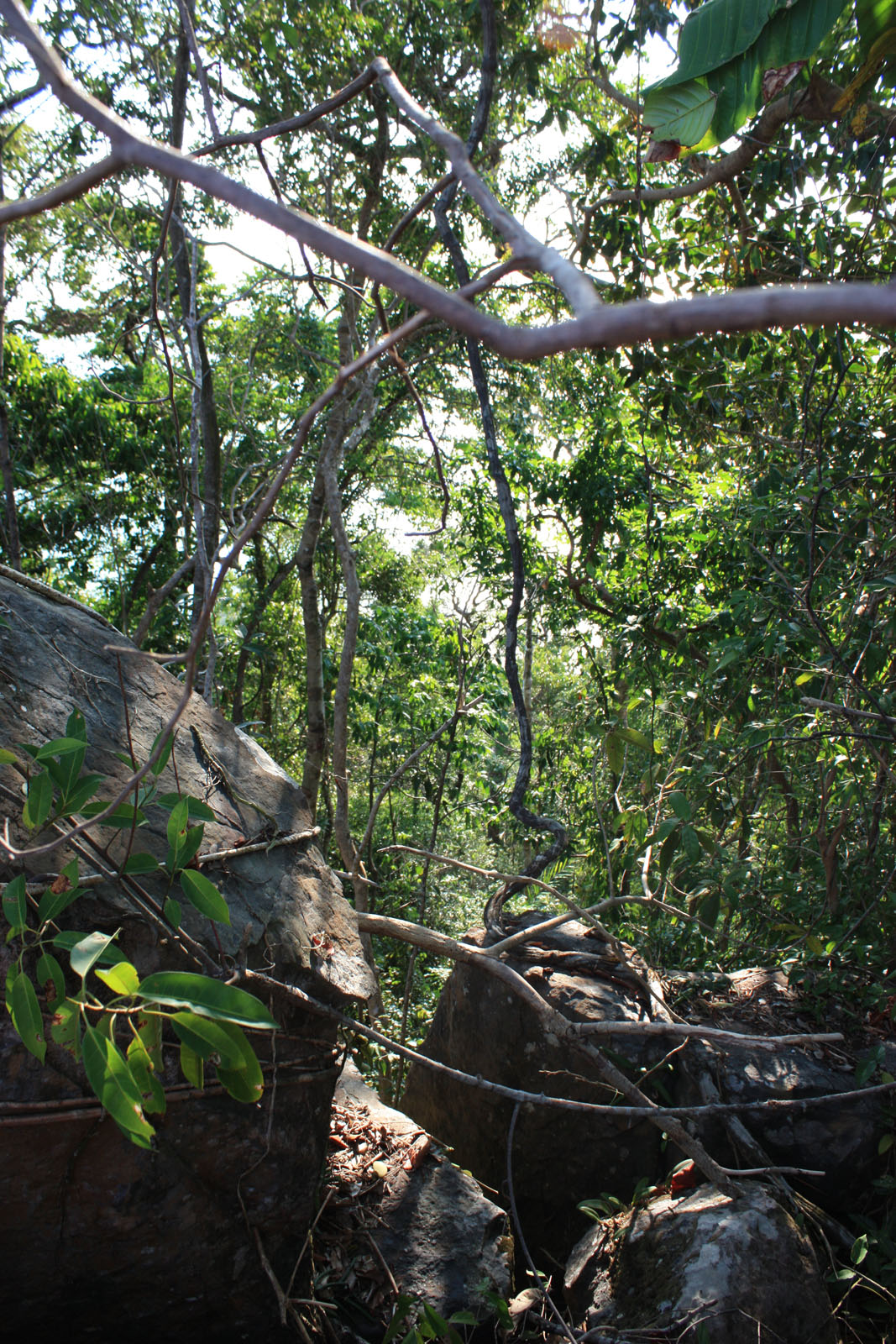 Impressions of Koh Rong in 2010