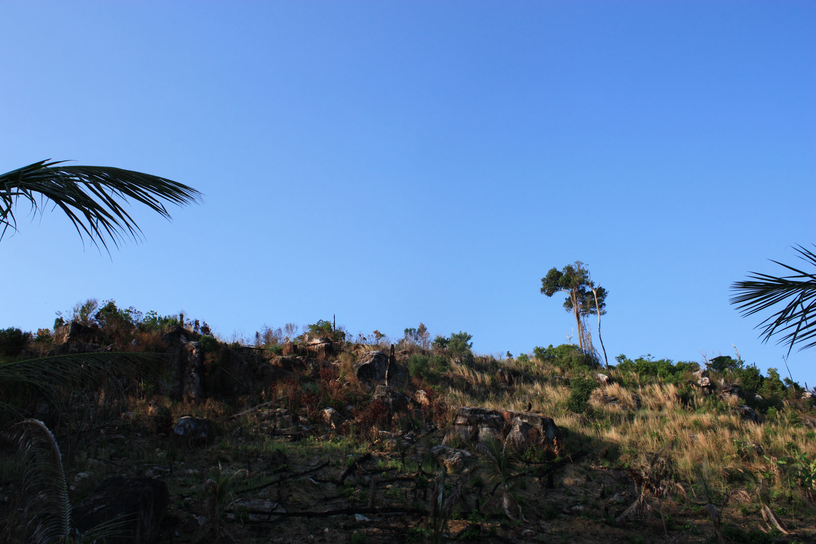 Impressions of Koh Rong in 2010