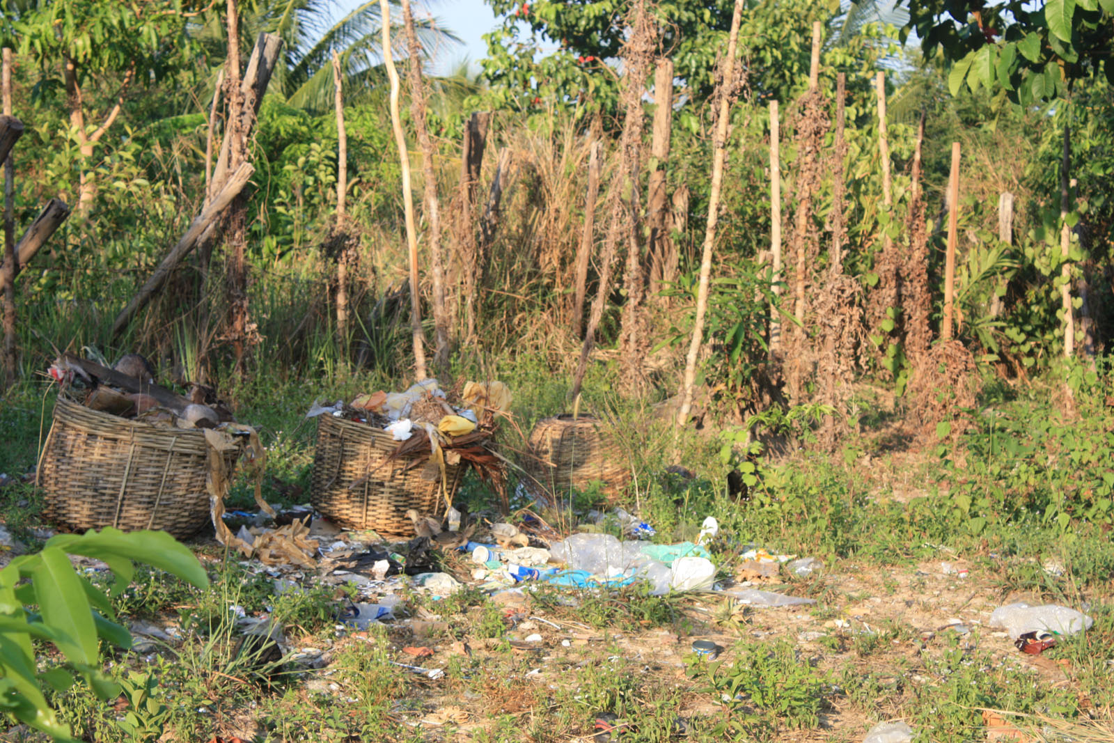 Impressions of Koh Rong in 2010