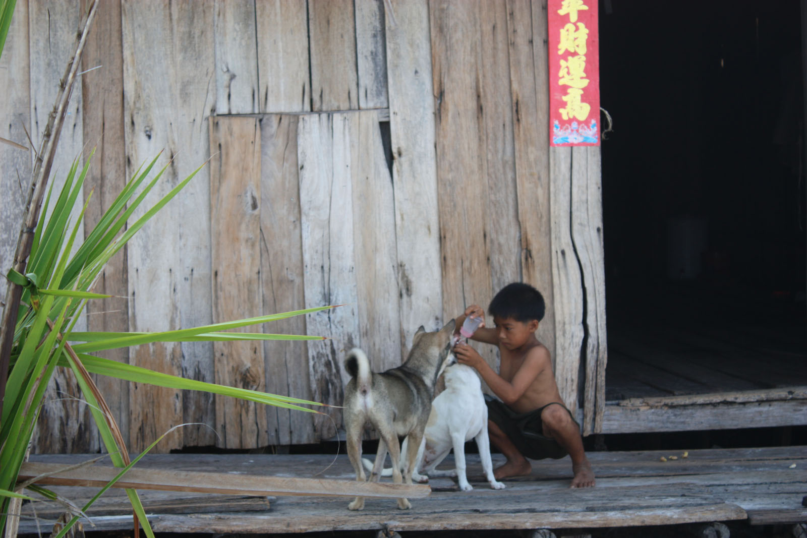 Impressions of Koh Rong in 2010