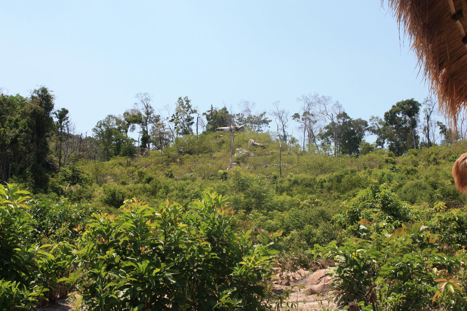 Impressions of Koh Rong in 2010