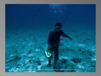 Wonderful things to see in Cambodian waters