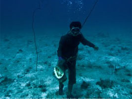 Wonderful things to see in Cambodian waters