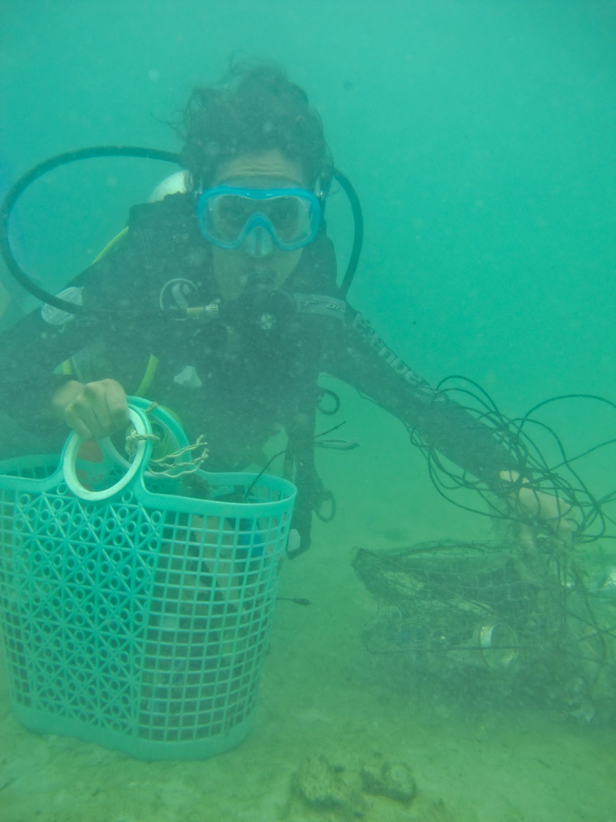 Reef & Beach clean-up Day