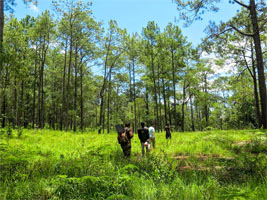 Cave Hunting in the Kirirom National Park