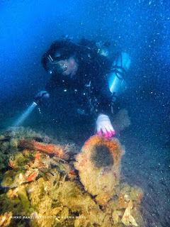 Diver on the wreck