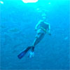 Freediving