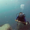 Experienced Divemaster