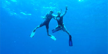 Take the PADI Assistant Instructor Course Take the PADI Assistant Diver Course