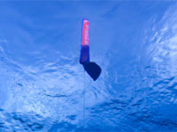 PADI Delayed Surface Marker Buoy PADI Delayed Surface Marker Buoy