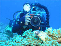 PADI Digital Underwater Photographer Course PADI Digital Underwater Photographer Course