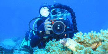 Photographie numérique sous-marine