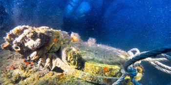 Take the PADI Drift Diver Specialty Course Take the PADI Drift Diver Specialty Course