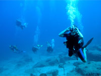 PADI Divemaster PADI Divemaster