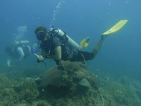 PADI Drift Diver Specialty Course PADI Drift Diver Specialty Course