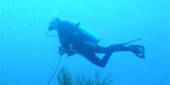 Take the PADI Drift Diver Specialty Course Take the PADI Drift Diver Specialty Course