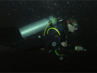 PADI Night Diving Specialty Course PADI Night Diving Specialty Course