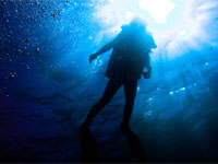 PADI Open Water Diver PADI Open Water Diver