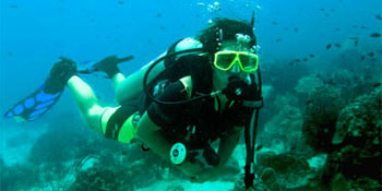 Werde PADI Open Water Diver