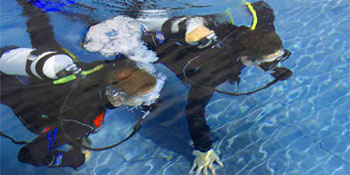 Take the PADI Scuba Diver Course