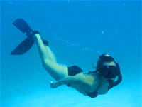 Try snorkeling Try snorkeling
