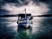 Sunrise to Sunset Diving Sunrise to Sunset Diving
