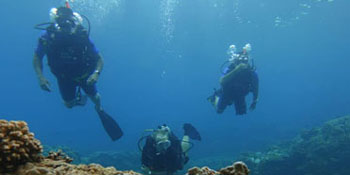 Take the PADI DSMB Specialty Course